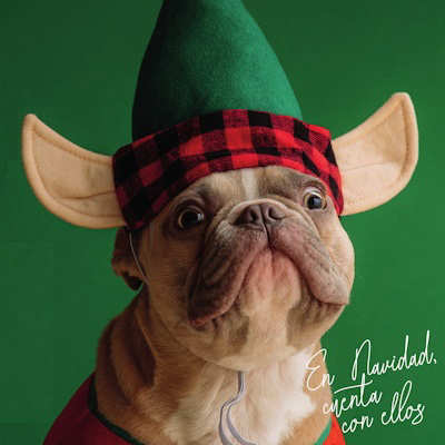 Imagen 2ª EDICION CHRISTMAS PET FASHION