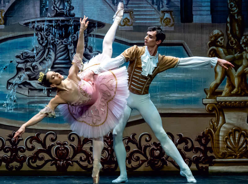 Imagen LA BELLA DURMIENTE