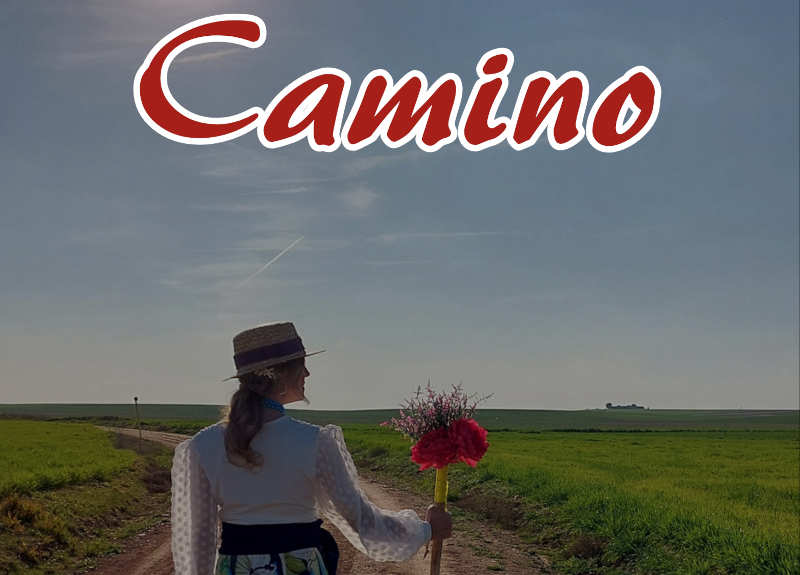Imagen CAMINO