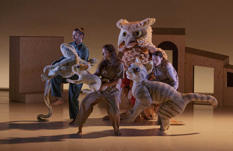 Imagen GATA  QUERÍA CAMBIAR LA HISTORIA