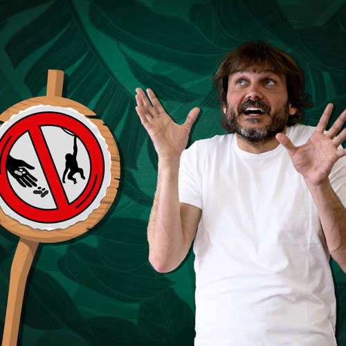 PROHIBIDO ECHARLE CACAHUETES AL MONO-SALVA REINA
