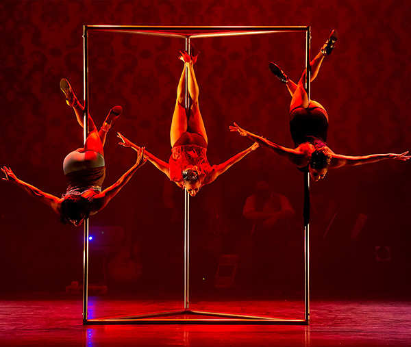BROKEN TANGO. 15 aniversario